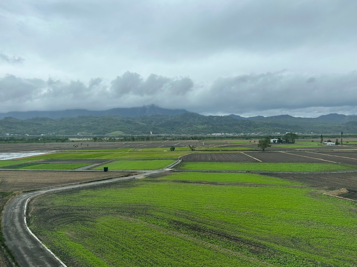加強小農碳匯 立委提「綠色新幹線」串聯企業收購與氣候揭露's OG Image