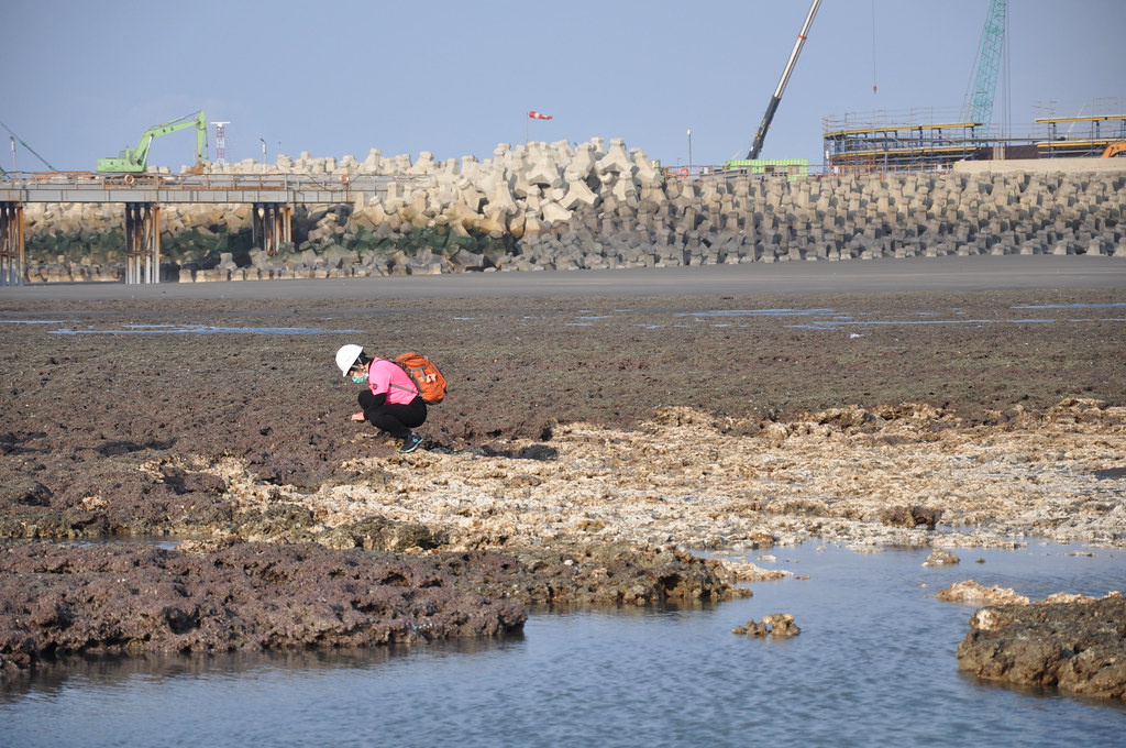 三接海岸利用許可遭最高行撤銷 成《海岸管理法》施行後首例