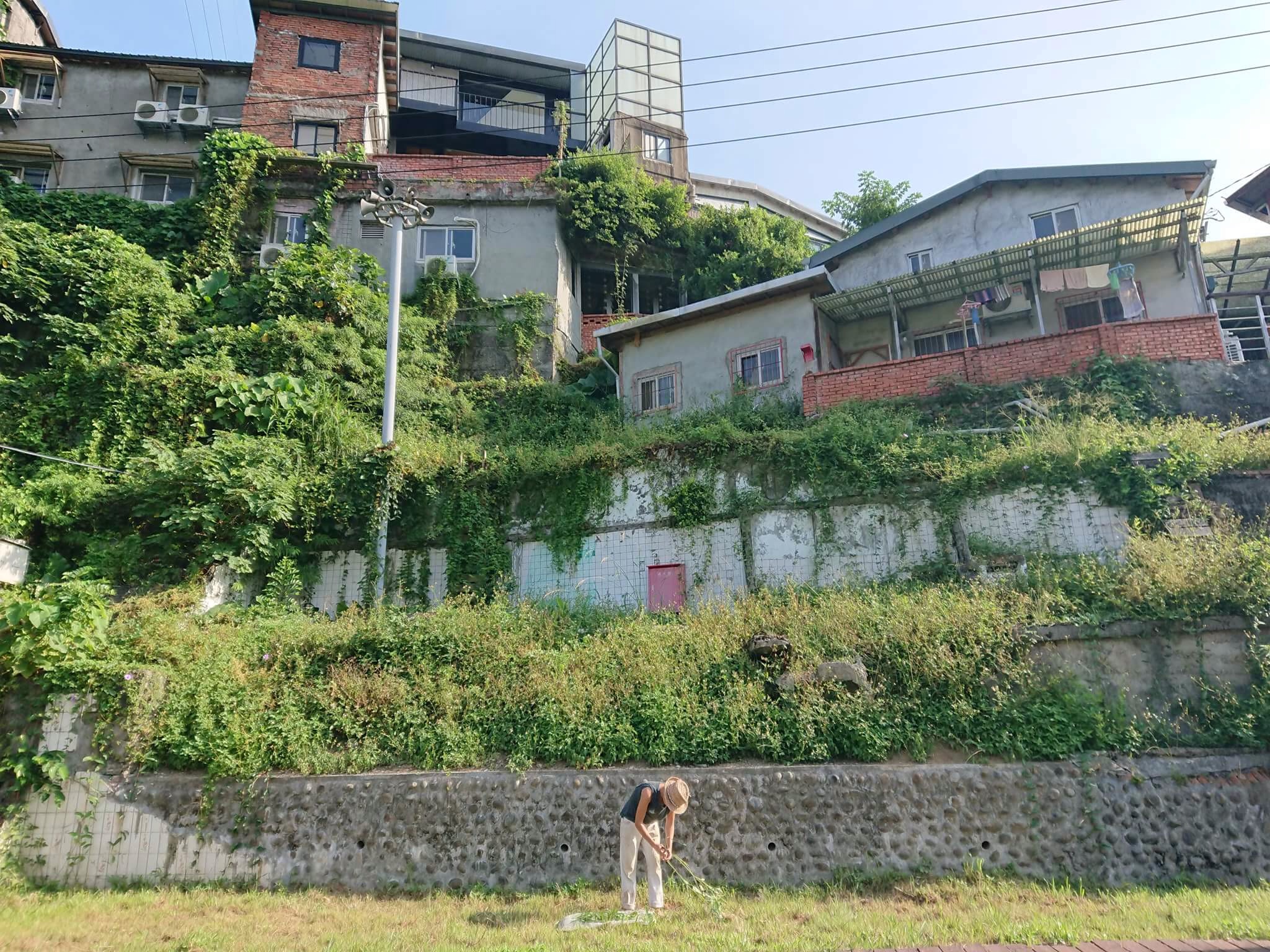 一杯「雜草茶」 翻轉人與自然的關係——專訪「雜草稍慢」創辦人林芝宇