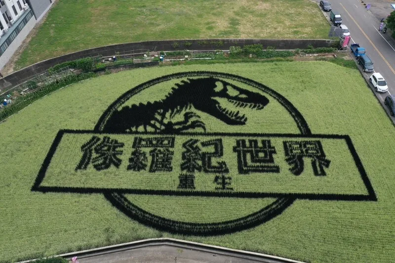 苑裡稻田變身大型電影看板　恐龍圖騰吸睛's story cover image
