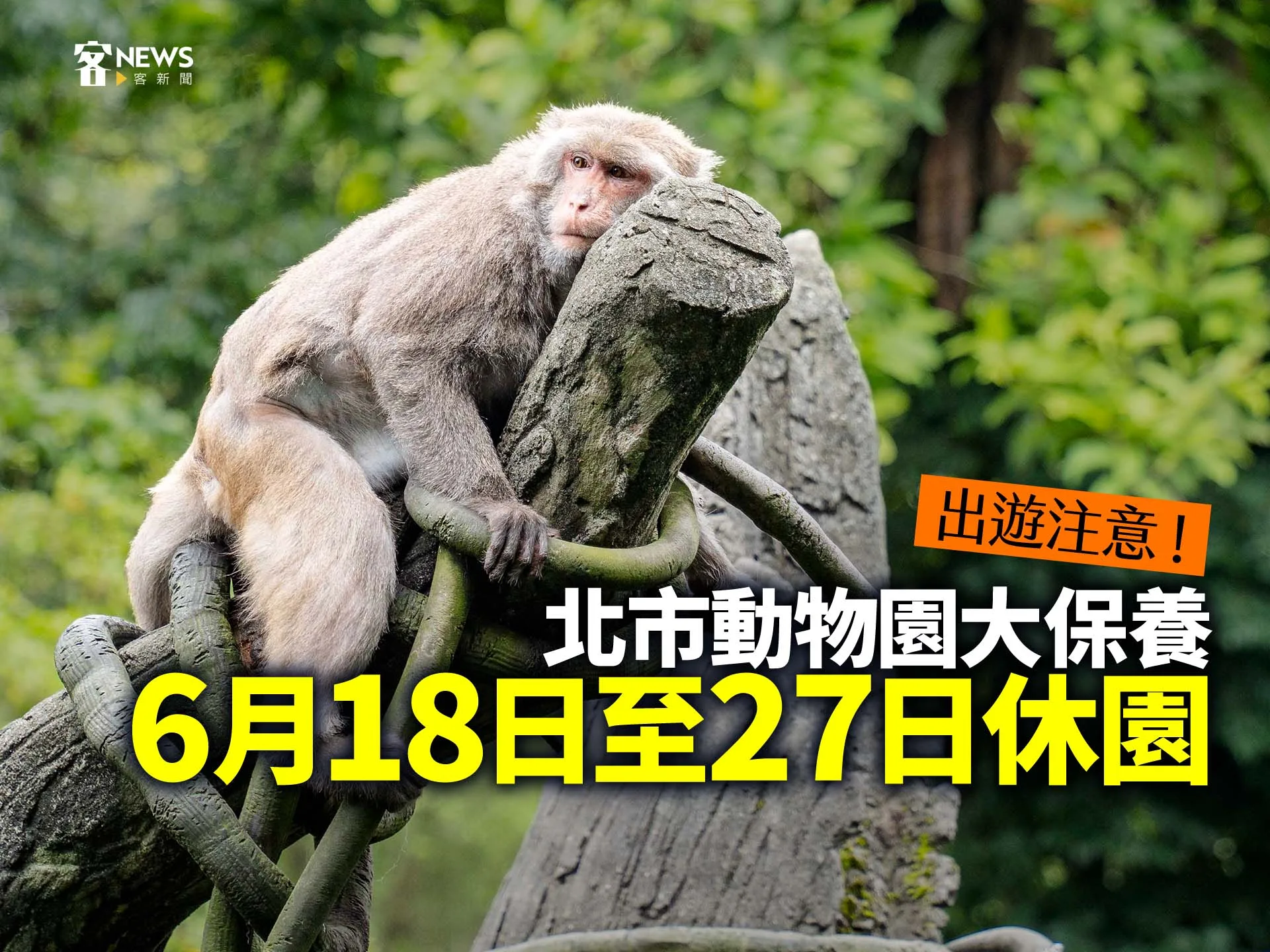 出遊注意！北市動物園大保養　6月18日至27日休園's story cover image