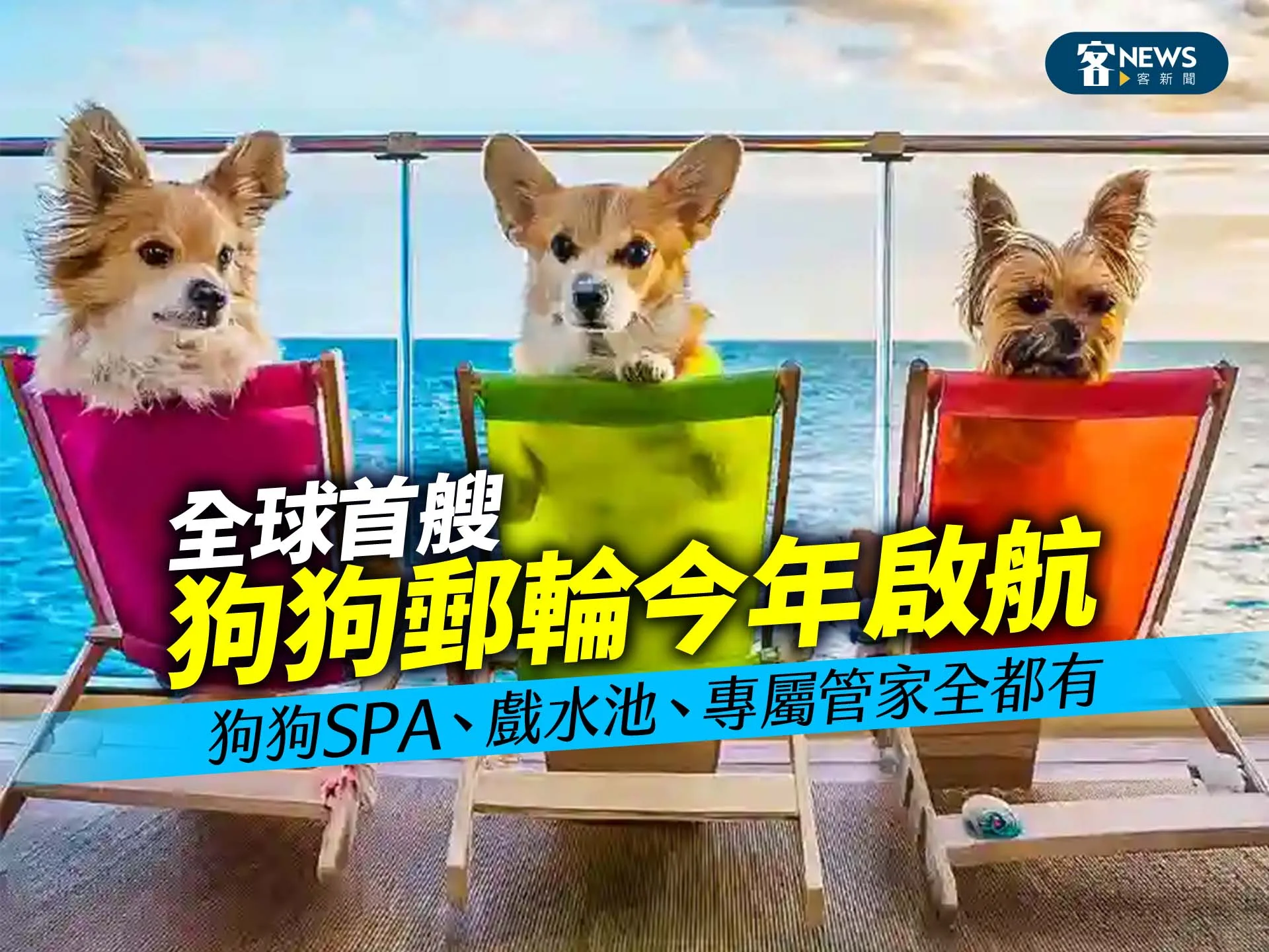 全球首艘狗狗郵輪今年啟航　狗狗SPA、戲水池、專屬管家全都有's story cover image