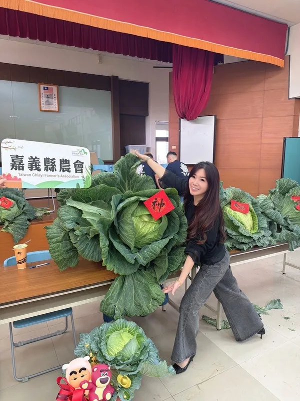 高麗菜王！單顆重達35.24台斤奪冠's story cover image