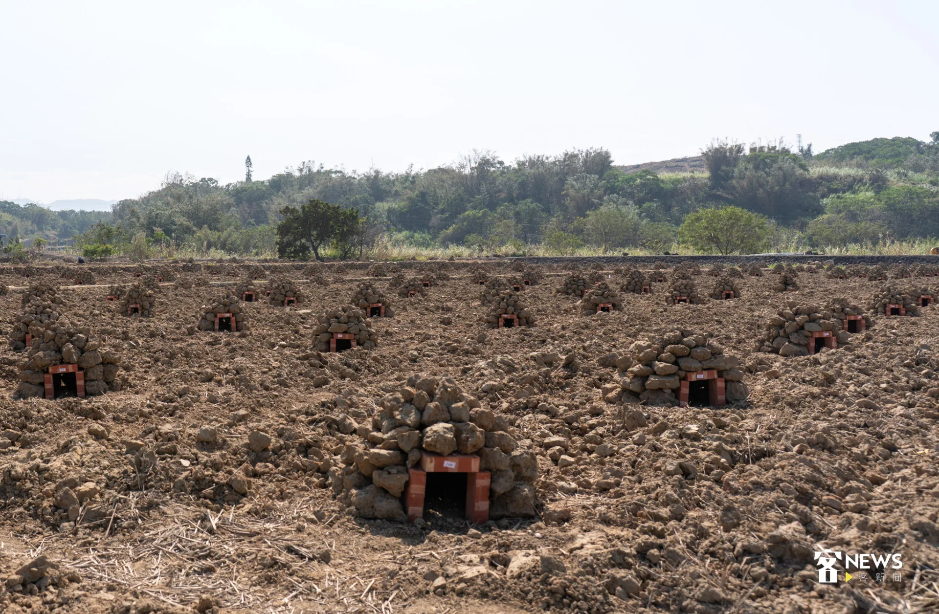 苗栗通霄壯觀小土丘網熱議　正解是「𤌍窯仔」's story cover image