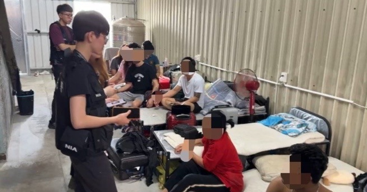 時薪80元！新北雞肉加工廠逮16黑工 黑心仲介喊冤：賠本生意's story cover image