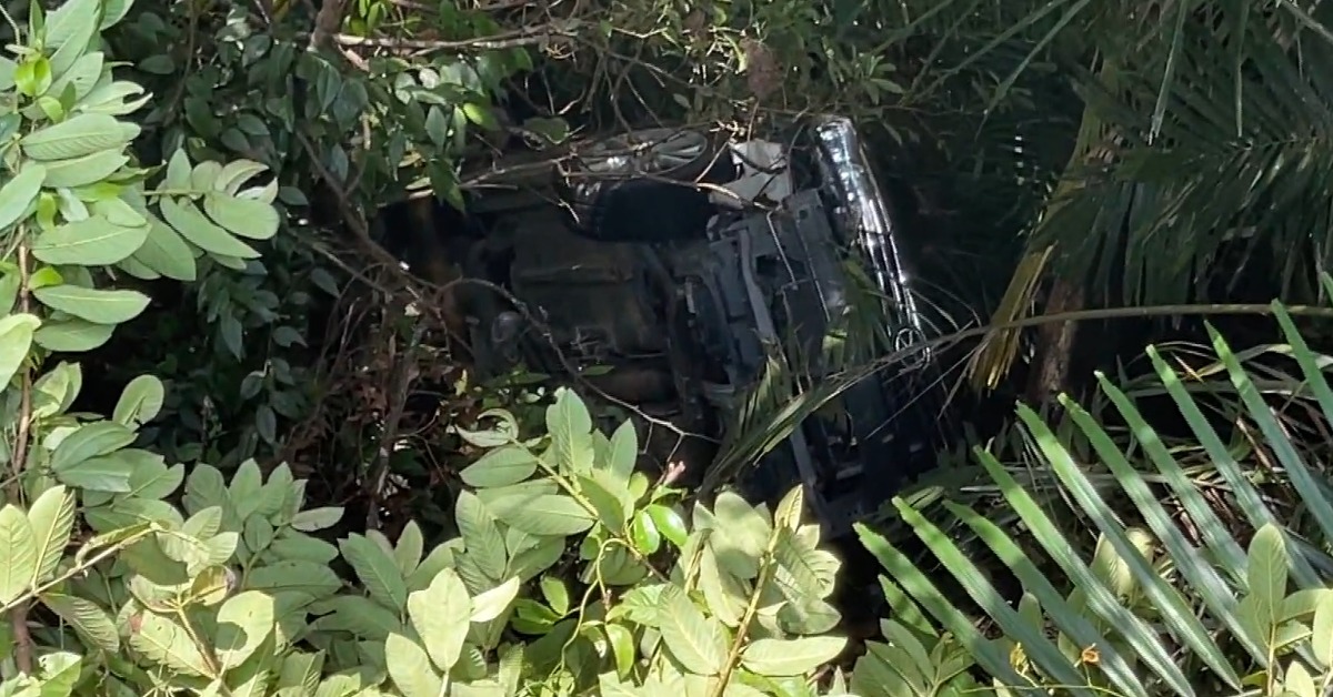 轎車墜30公尺深谷 駕駛噴飛車外頸椎斷裂亡's story cover image