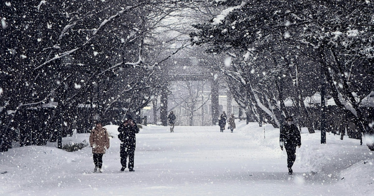 遊日注意！強烈寒流襲捲全國 雪災已釀45死