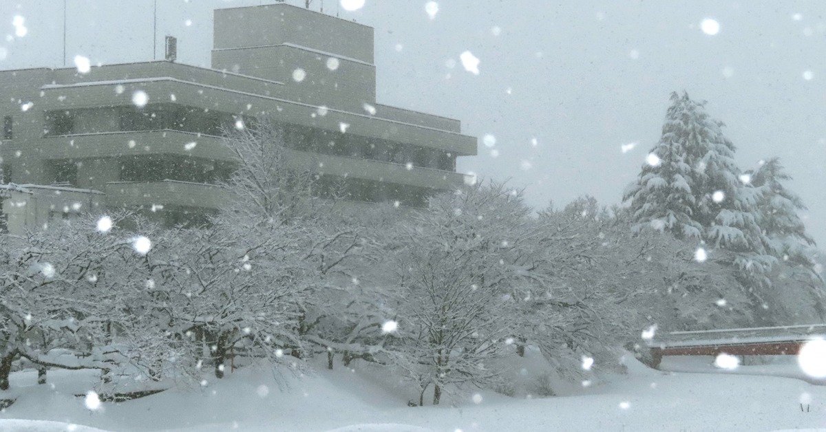 寒流狂炸日本！東京積雪5cm 全國大雪45死
