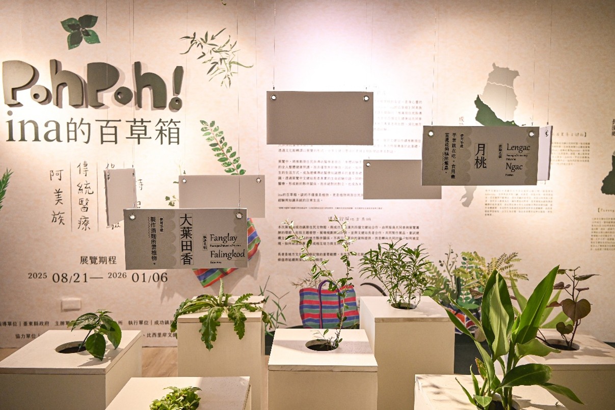 打開「Poh Poh ! ina 的百草箱」 看見原民傳統醫療的柔性力量's story cover image