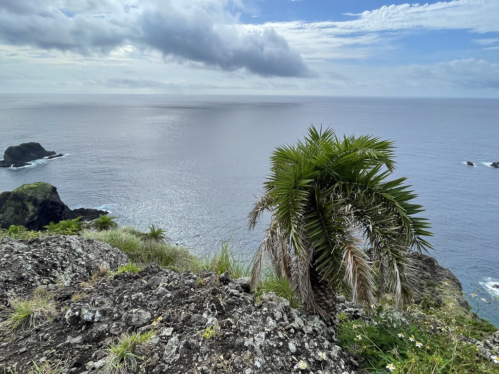 把名字說回來——專訪《有靈2：與神同行的阿美族民族植物》作者鄭漢文's OG Image
