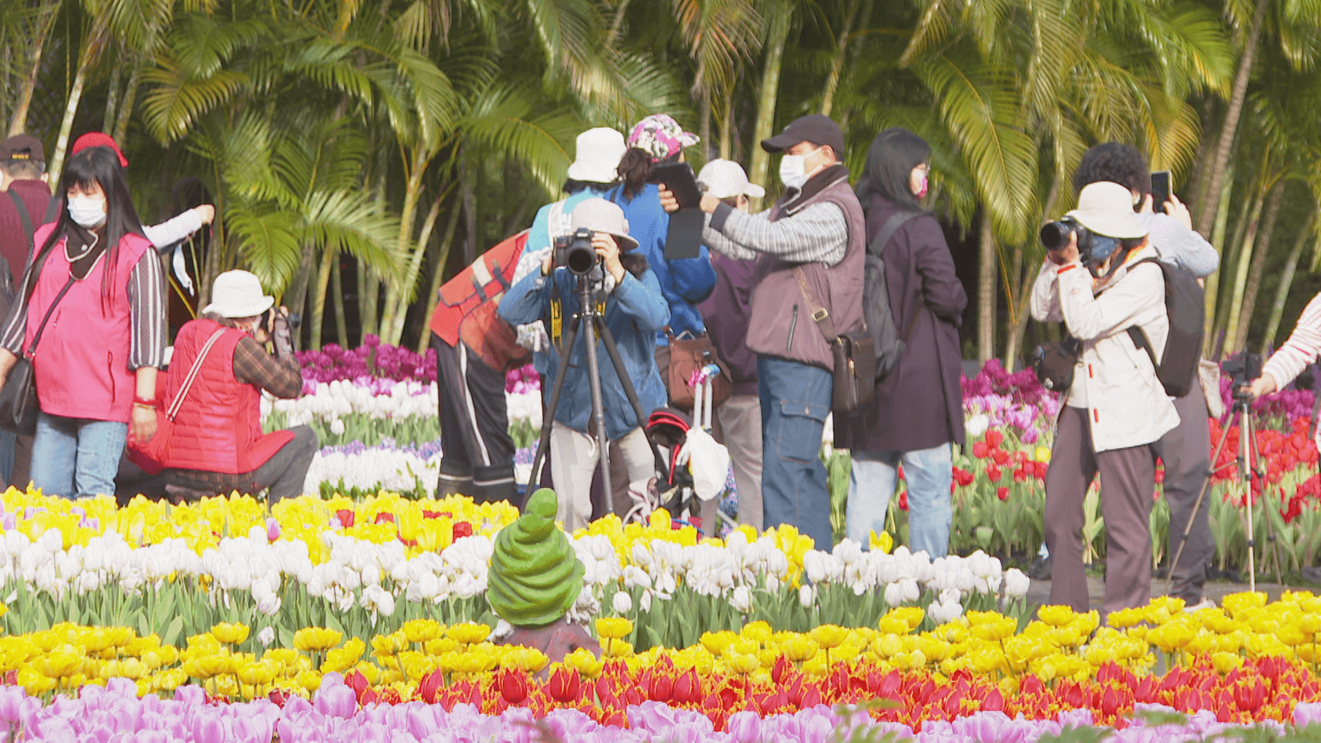 傳國旅補助未納入718億預算　觀光署澄清：已編列，待立院審議's story cover image