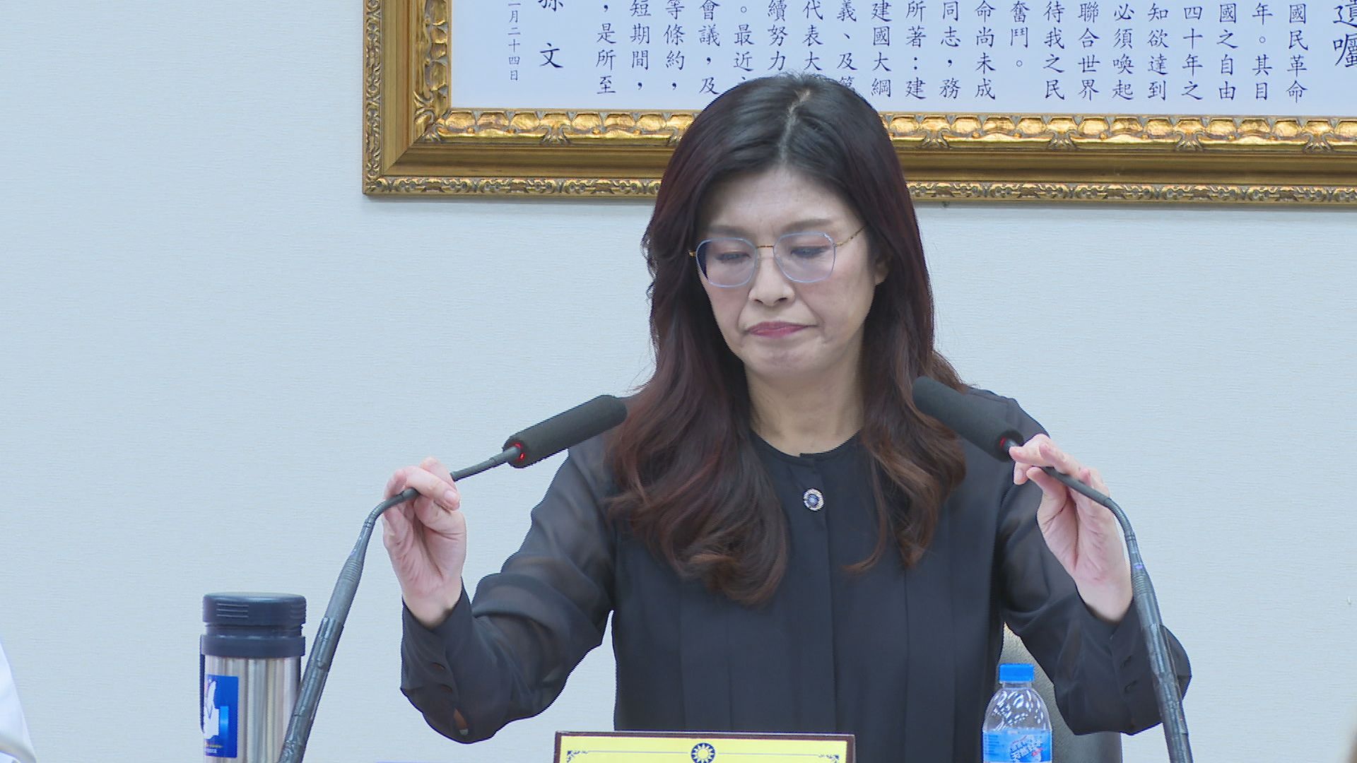 再談兩岸和平　鄭麗文：唯一政治基礎就是九二共識、反對台獨's story cover image