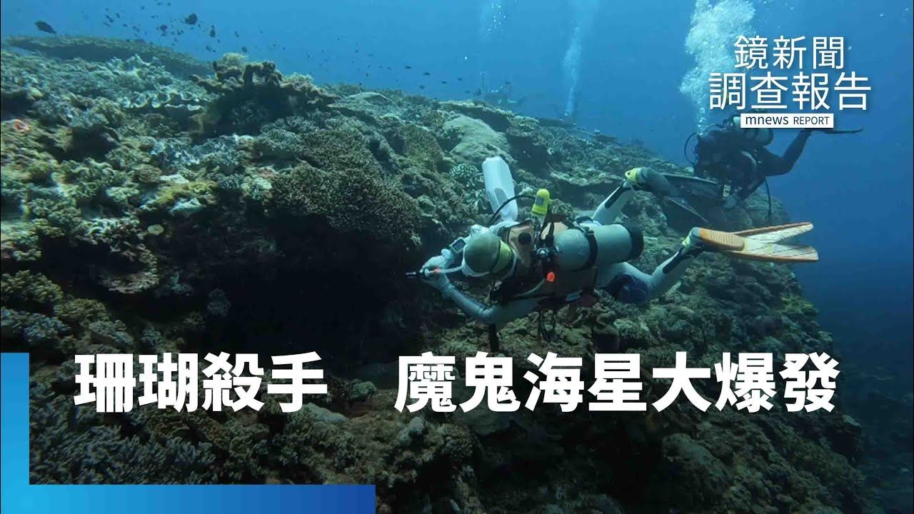 如同外星生物有水就活！魔鬼海星圓盤體型360度長出21腕足　東沙環礁「珊瑚」生態告急's story cover image