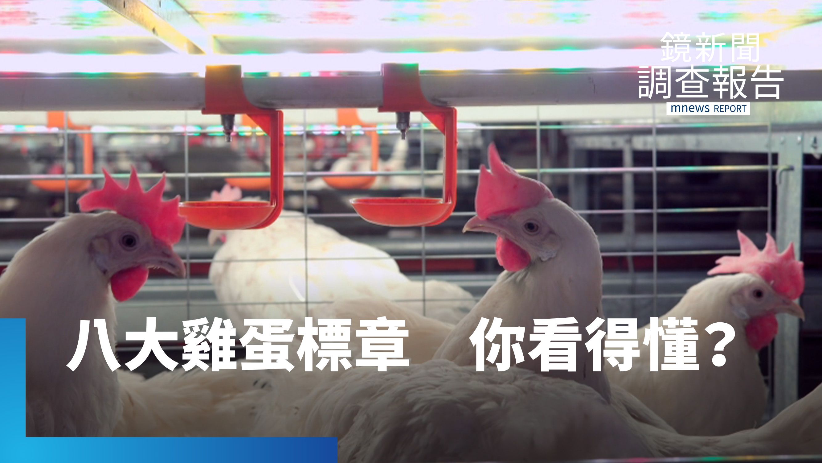 雞蛋標章戰國時代　8種認證誰「真友善」's story cover image