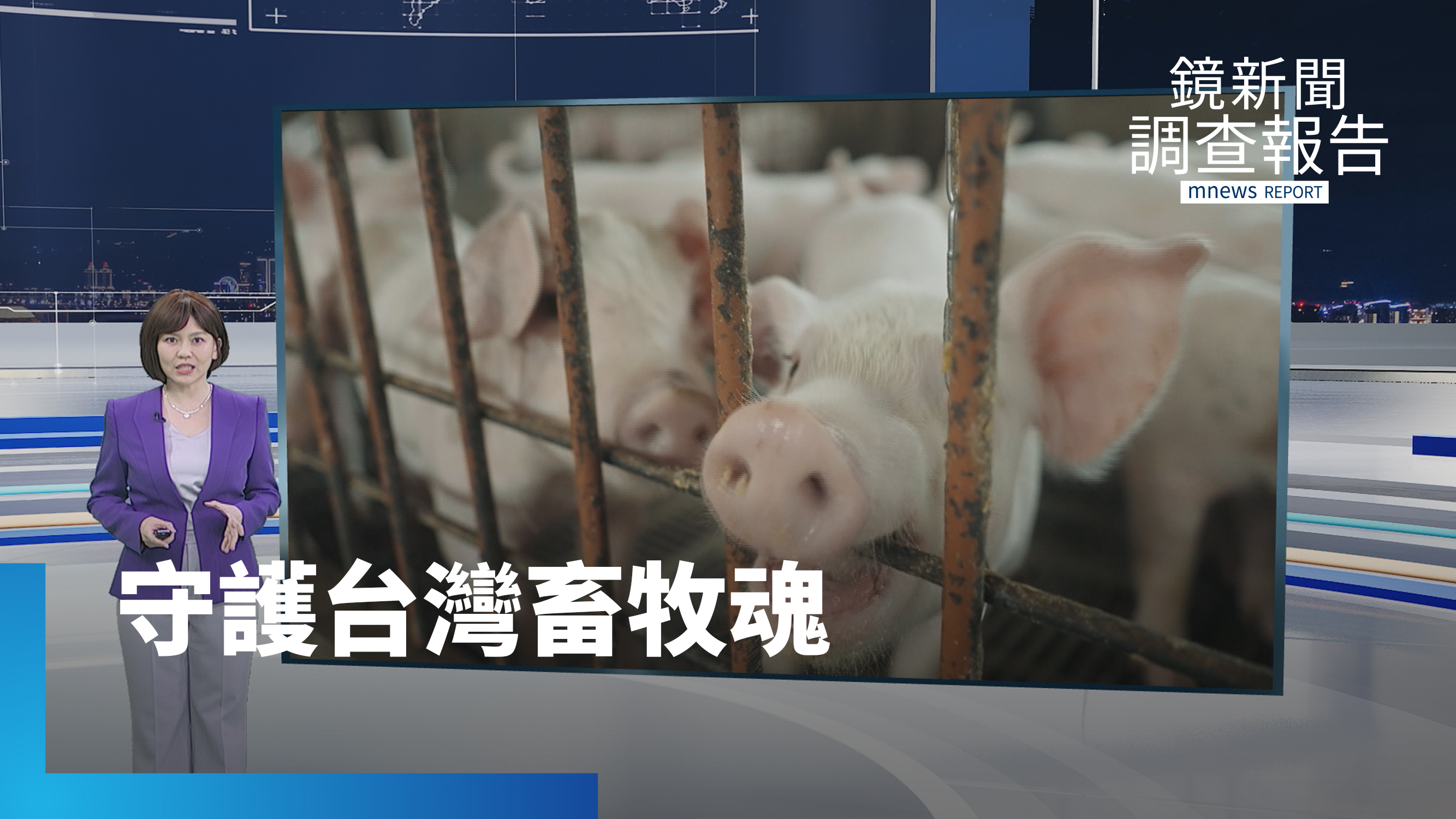 《守護台灣畜牧魂》全集　滷肉飯背後的科技革命！從世紀疫戰到綠色轉型　台灣豬三十年浴火重生　榮耀重回亞洲唯一「三大豬病非疫國」　產地到餐桌安心把關的蛻變之路
