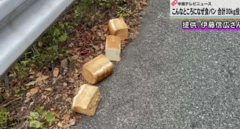 國家公園驚見「吐司怪客」！連3天狂丟28.5公斤巨量未切白吐司　官方憂恐釀1危險