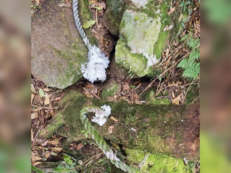 台中鳶嘴山15處引導繩遭惡意割斷　山友怒轟：根本是蓄意謀殺's story cover image