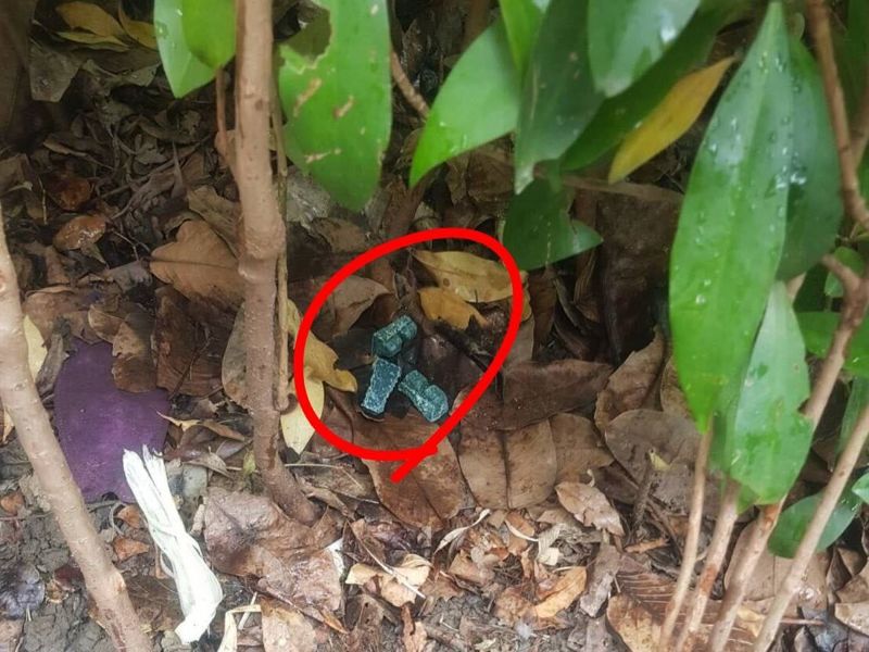 獨家／比「南鼠北送」還要扯！林亮君發文罵蔣萬安　私下誘導環保局內幕曝光