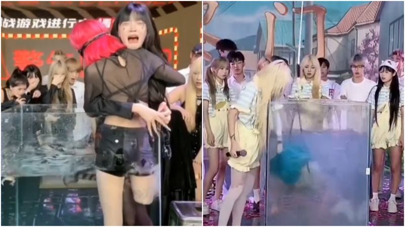 中國千萬網紅爆虐女主播！　強迫「與鱷魚同缸」全網嚇壞