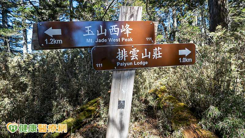 在台爬山沒事出國仍可能中招！醫揭高山症3類型　這些族群行前要注意