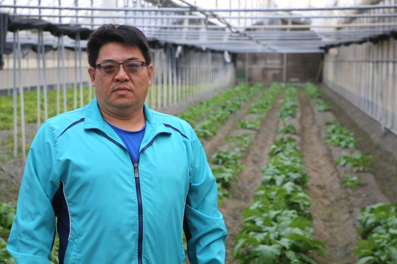 政策承諾一場空，中央取消國產標章食材補助，地方免費午餐省成本，青農嘆被政府放生's story cover image