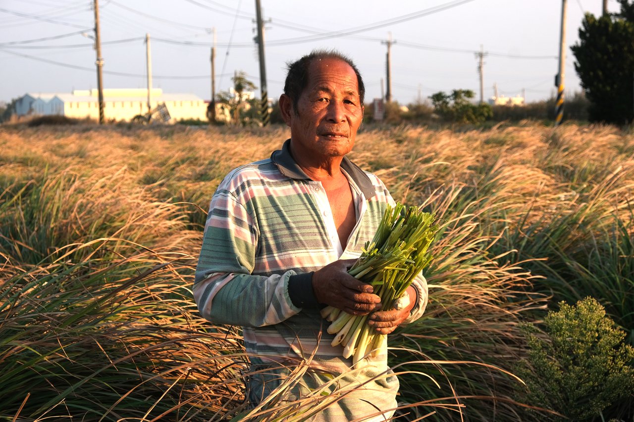 香茅商機崛起，看好新移民需求，農民專區栽種，每公斤拍賣破百元's story cover image