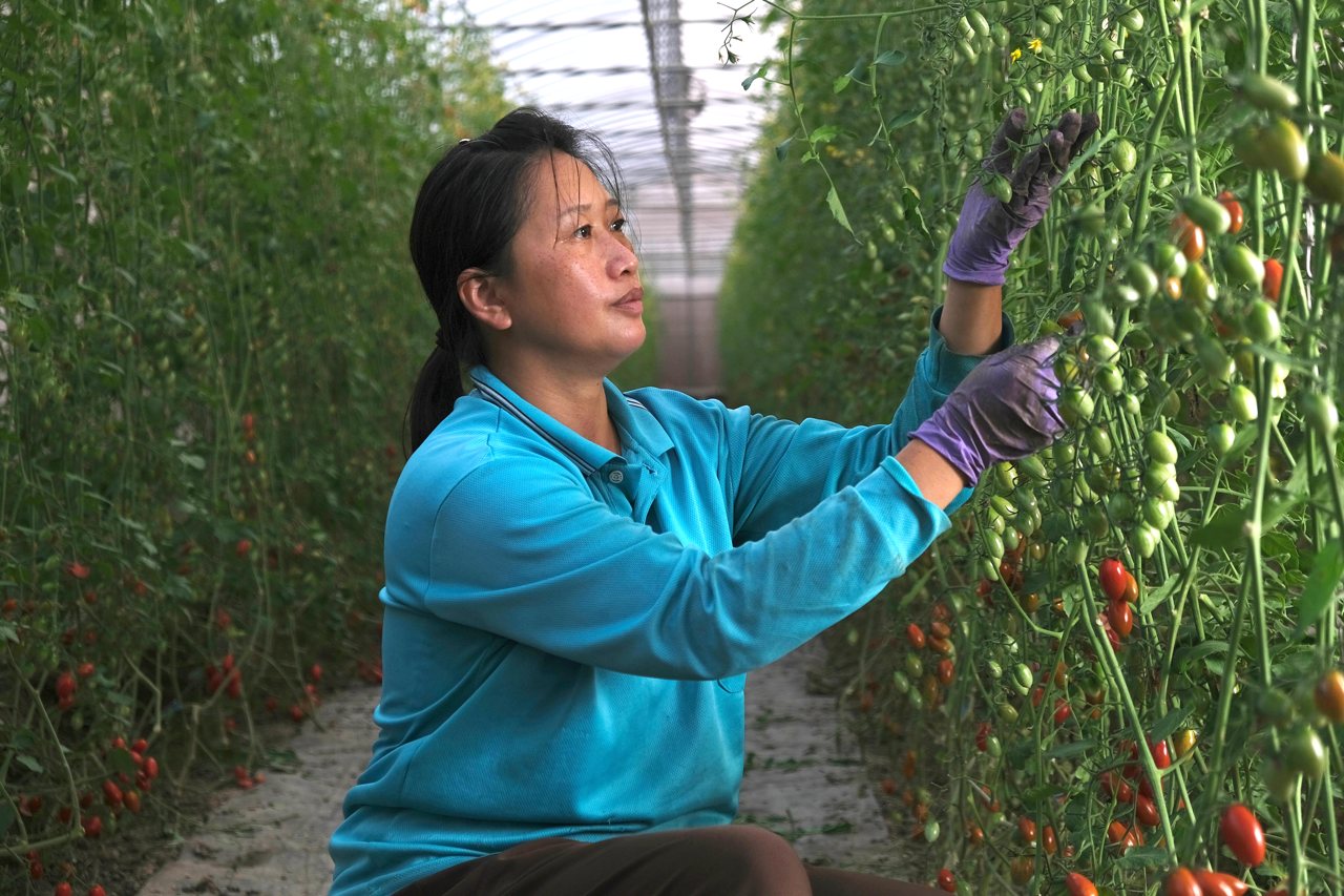 女農不是幫手，是專業合夥人，高嘉琪田間革命，打破「男主女輔」天花板's story cover image