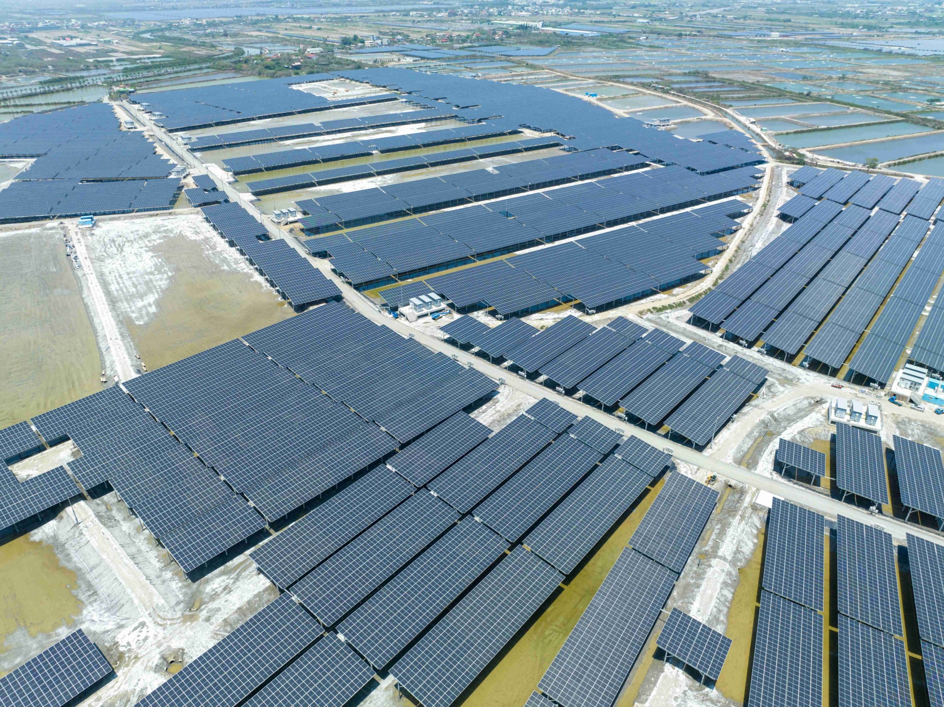 漁電政策史詩級轉彎？農業部草案，開發商「設光電、免養殖」，撼動農地農用原則's OG Image