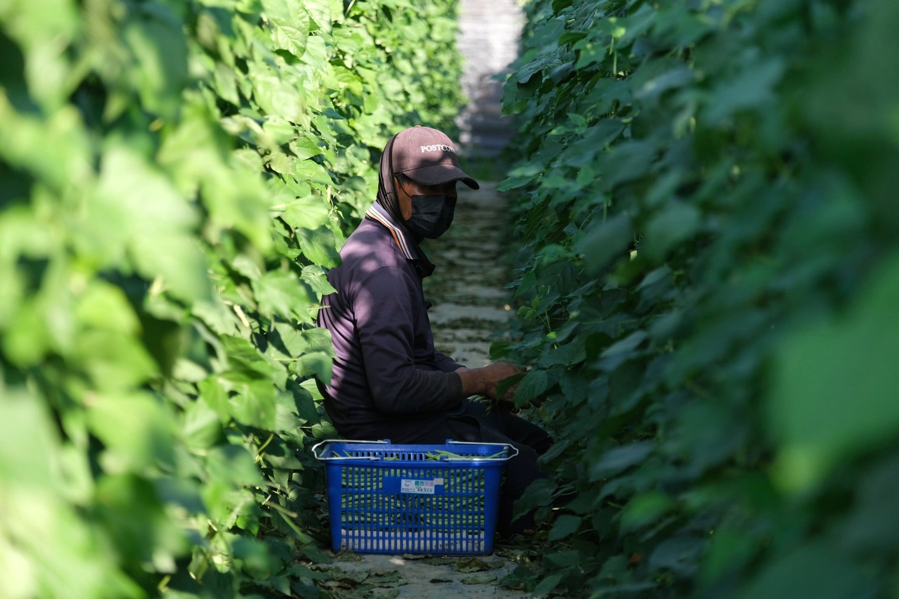 06 地下的代價》TikTok 點燃失聯潮，工殤、黑戶寶寶、失能家庭惡夢's story cover image