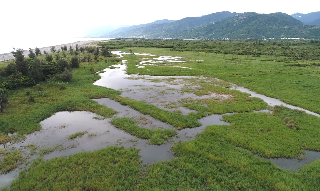 知本濕地多重危機，台東縣府啟動碳匯開發，部落主權與生態保衛戰's OG Image