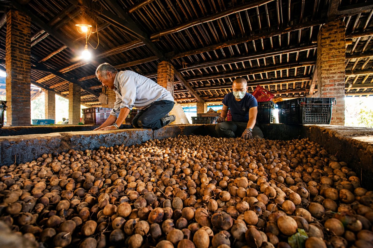 台灣勇奪「世界農遊大獎」雙冠軍，龍眼焙灶寮、茶園創新女力，讓國際評審驚豔