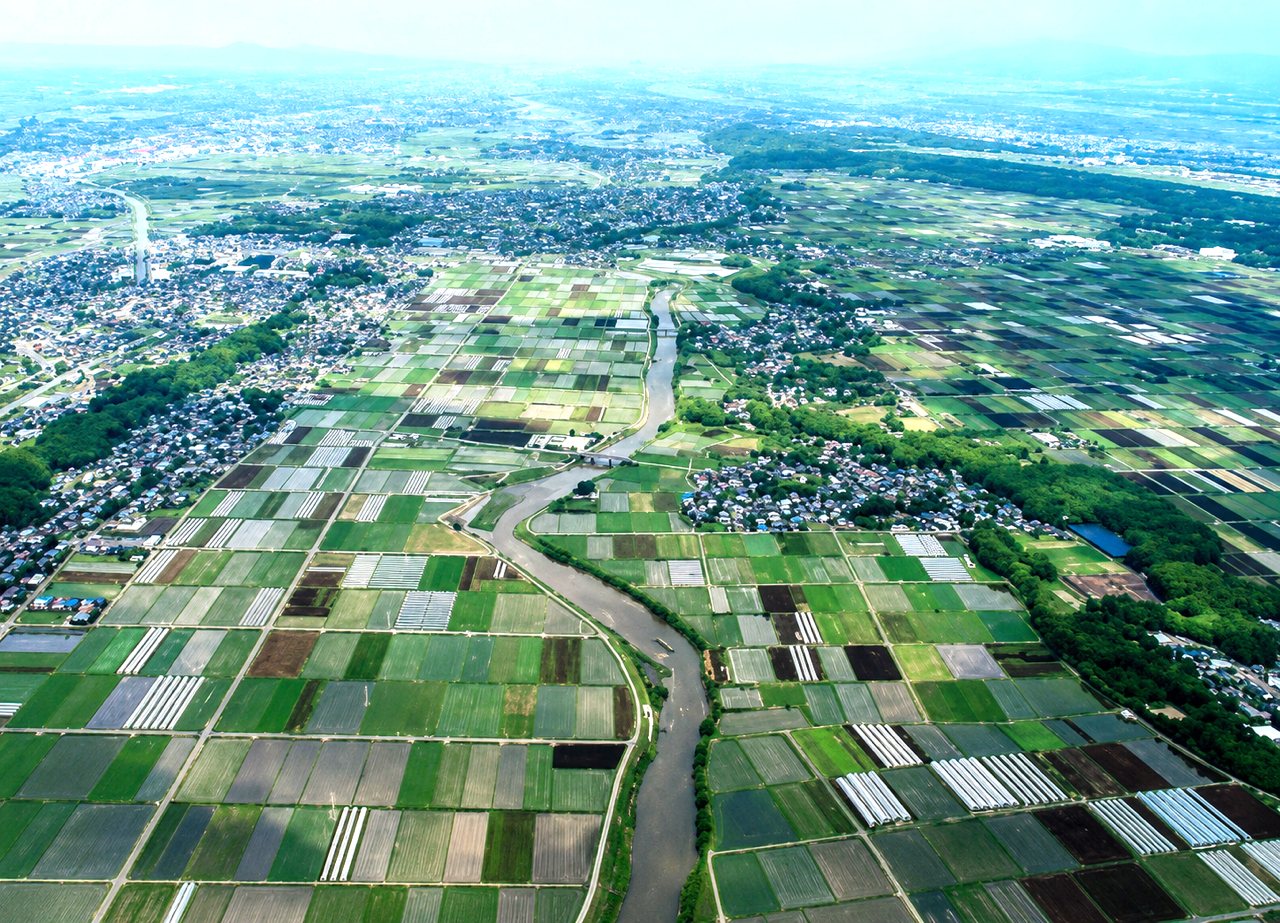 台灣如何留住水？學者籲三管齊下：平原埤塘、農田涵養，深思重建山區水庫