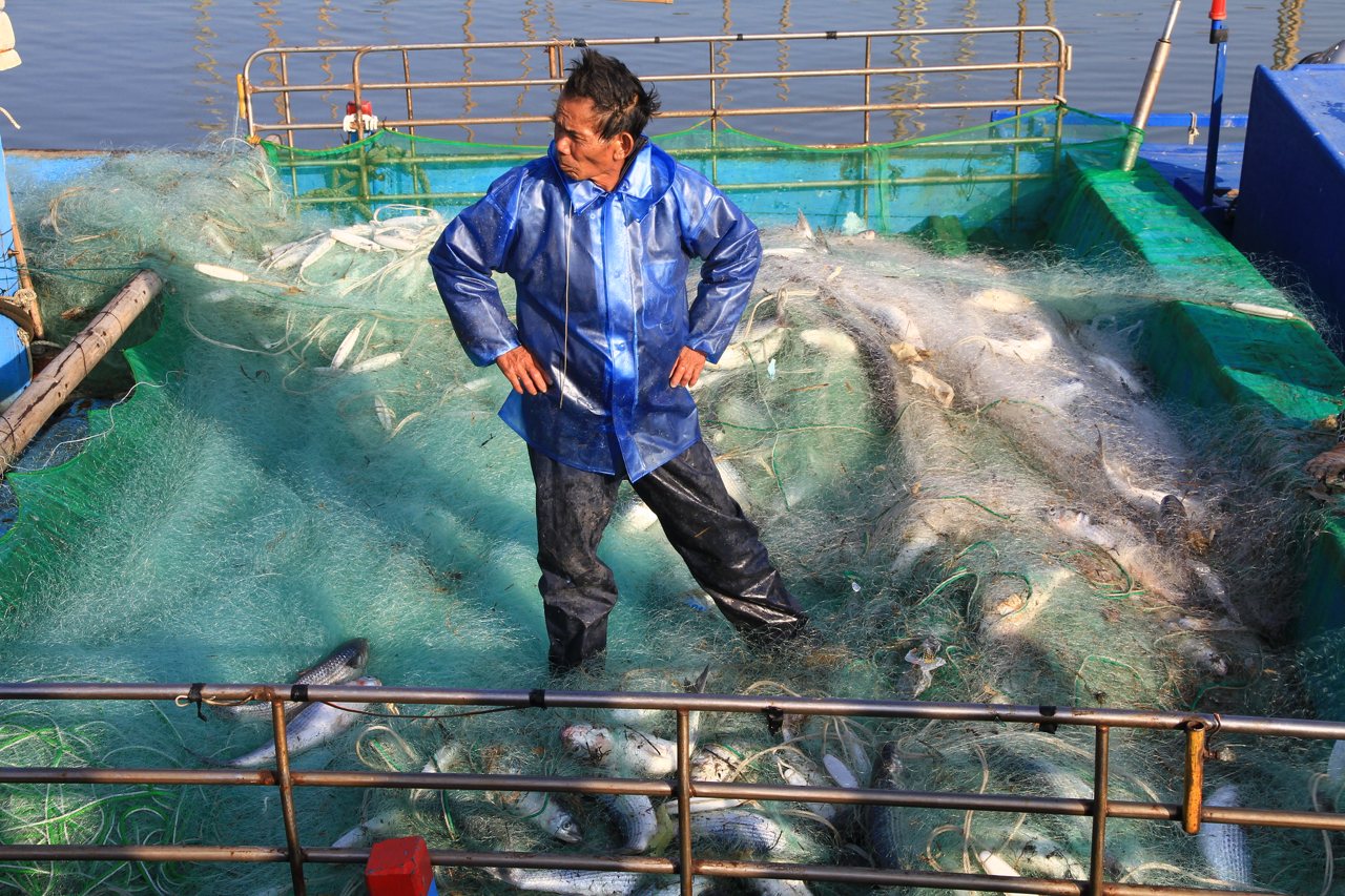 徐承堉/搶救烏魚,守護海洋信約─台灣烏魚產業的重生與永續宣言's OG Image