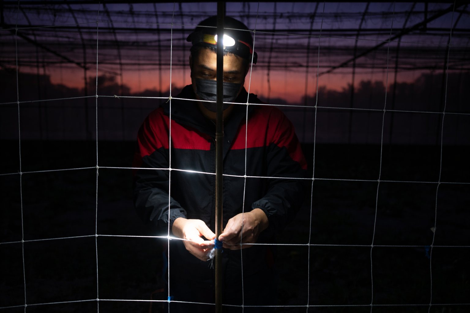 【評論】放任制度失靈、只剩粗暴抓捕:政府移工政策怠惰,加深仇視撕裂傷口's OG Image